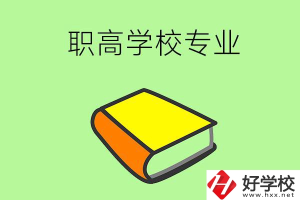 湖南省株洲市職高學校有哪些專業(yè)比較好？