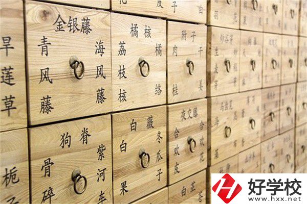 湖南省哪些中職有中藥專業(yè)？