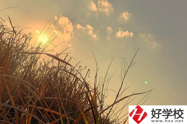 衡陽(yáng)市瀟湘衛(wèi)生中等專業(yè)學(xué)校宿舍環(huán)境以及食堂怎么樣？