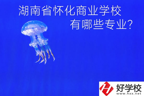湖南省懷化商業(yè)學校好不好？有哪些專業(yè)？