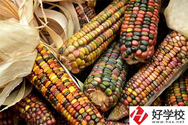 岳陽中職學校哪些專業(yè)好？有什么學校推薦？