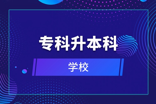 ?？粕究频膶W(xué)校
