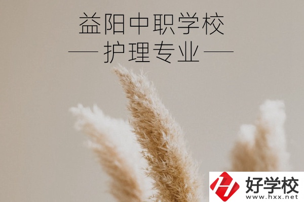益陽護理專業(yè)的中職學(xué)校有哪些？需要哪些要求？