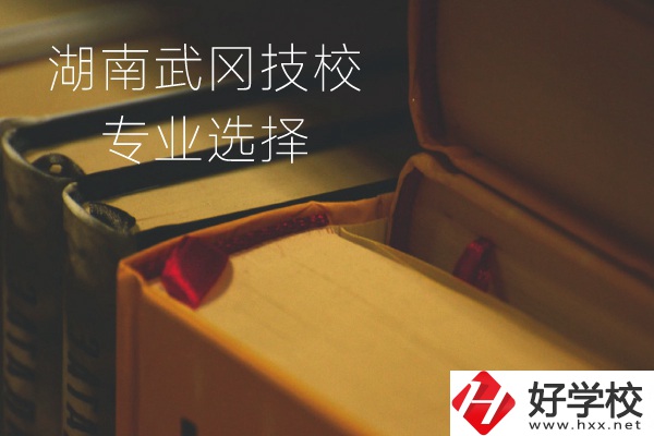 湖南武岡技校怎么樣？有哪些專業(yè)可以選擇？
