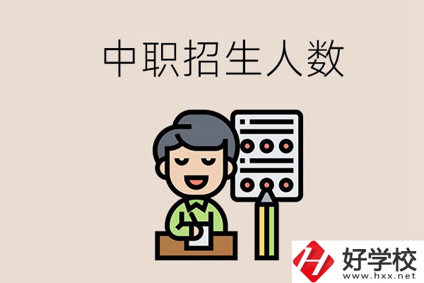 湖南中職學(xué)校每年的招生人數(shù)是多少？
