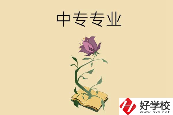 在張家界讀中專，學(xué)什么專業(yè)比較好？