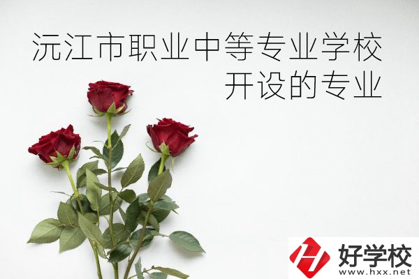 沅江市職業(yè)中等專業(yè)學(xué)校怎么樣？開設(shè)哪些專業(yè)？