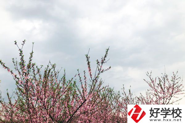 想在邵陽(yáng)讀中專(zhuān)，有哪些學(xué)校推薦？
