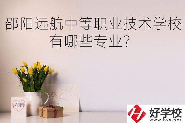 邵陽(yáng)遠(yuǎn)航中等職業(yè)技術(shù)學(xué)校有哪些專業(yè)？