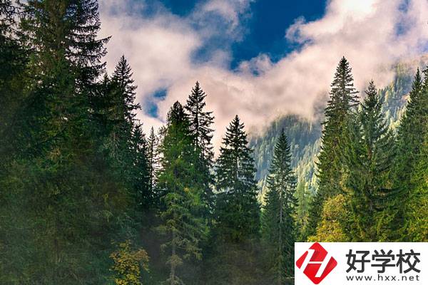 永州東方科技職業(yè)學(xué)校有哪些辦學(xué)特色？