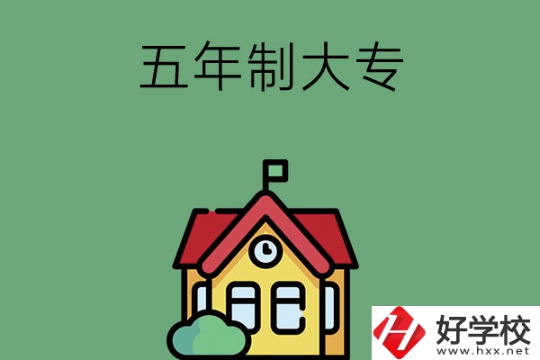 常德有可以招收初中畢業(yè)生的五年制大專院校嗎？