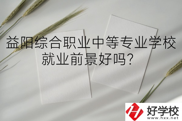 益陽綜合職業(yè)中等專業(yè)學(xué)校如何？就業(yè)前景好嗎？