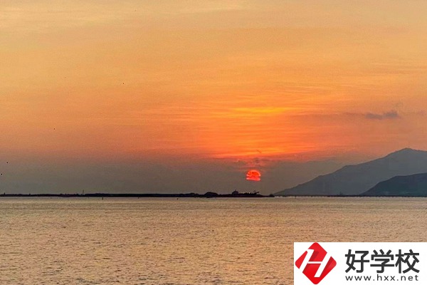 湘西龍山縣誠(chéng)信職業(yè)技術(shù)學(xué)校有哪些對(duì)口單招專(zhuān)業(yè)？