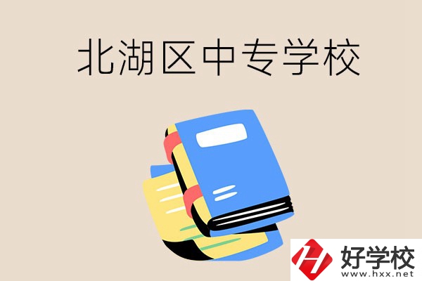 郴州市北湖區(qū)一共有多少所中專學校？