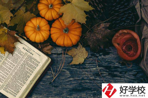 臨湘市職業(yè)中專開設(shè)哪些熱門專業(yè)？有哪些就業(yè)方向？