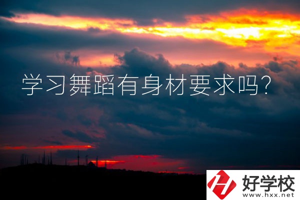 懷化有可以學(xué)習(xí)舞蹈的中專學(xué)校嗎？有身材要求嗎？