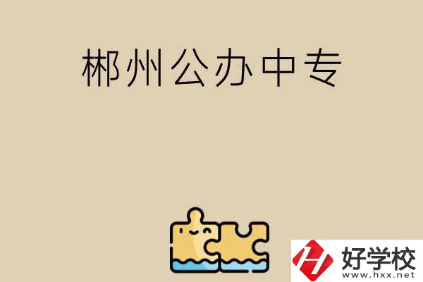 郴州公辦中專(zhuān)有哪些開(kāi)設(shè)了電子商務(wù)專(zhuān)業(yè)？