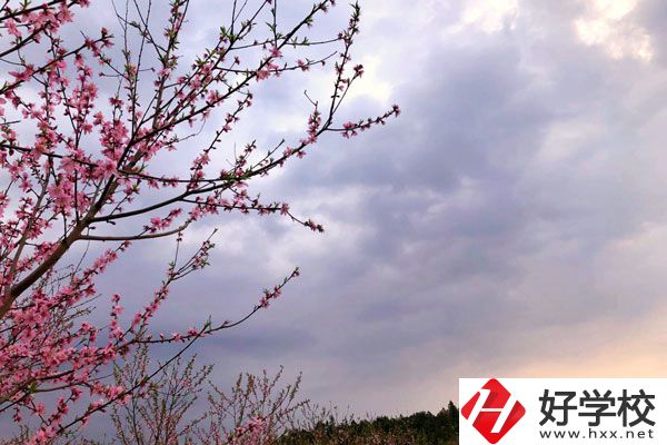 邵陽市瀟湘中等職業(yè)技術(shù)學(xué)校怎么樣？收費(fèi)標(biāo)準(zhǔn)如何？