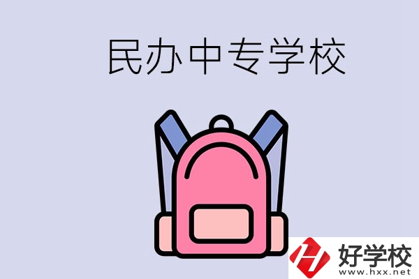 益陽(yáng)的民辦中專學(xué)校有多少所？辦學(xué)怎么樣？