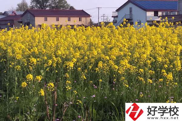 湖南省有哪些比較好的技校？熱門專業(yè)有哪些？