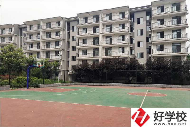 衡陽(yáng)科技工程學(xué)?；@球場(chǎng)