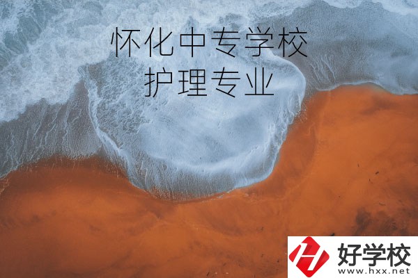 懷化有學(xué)護(hù)理專(zhuān)業(yè)的中專(zhuān)學(xué)校嗎？