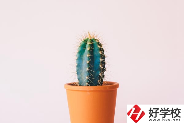 長沙有哪些中職學?？梢詫W習幼師專業(yè)？