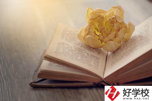 湘西涉外經(jīng)濟(jì)職業(yè)學(xué)校的特色專業(yè)有哪些？