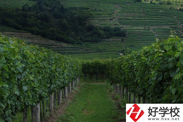 中鋼集團(tuán)衡陽(yáng)重機(jī)技工學(xué)校好不好？值得讀嗎？