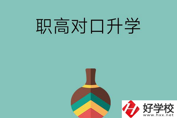 湖南職高對口升學(xué)可以考哪些大專？