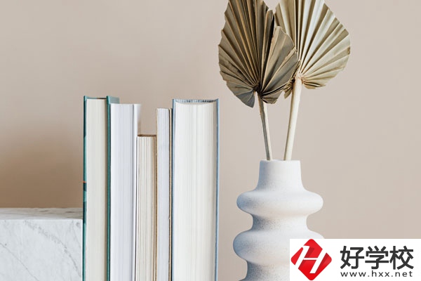 懷化職業(yè)技術(shù)學(xué)院(中職部)好不好，值得選擇嗎？
