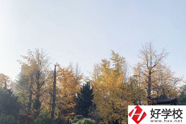 湘潭縣就業(yè)職業(yè)技術(shù)學(xué)校有哪些專(zhuān)業(yè)？就業(yè)前景怎么樣？