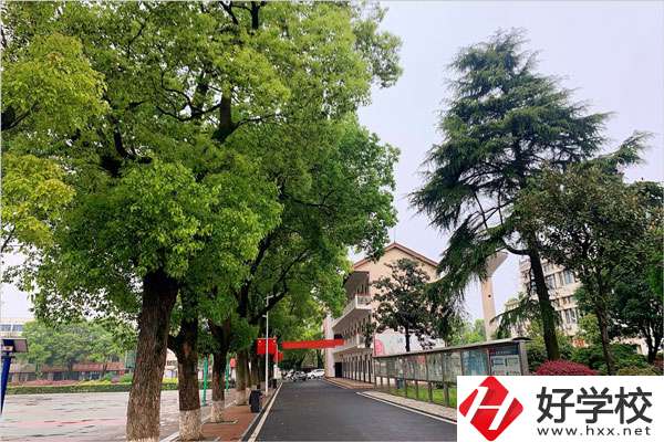 想在益陽學機械制造專業(yè)，哪個學校比較好？