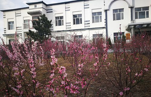 煙臺市勞動局服務技術(shù)學校