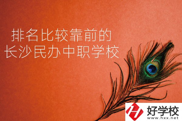 長沙哪些民辦中職學(xué)校排名比較靠前？