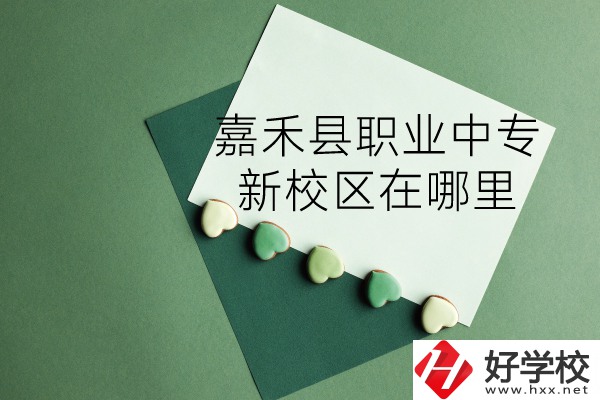 嘉禾縣職業(yè)中專(zhuān)怎么樣？新校區(qū)在哪里？