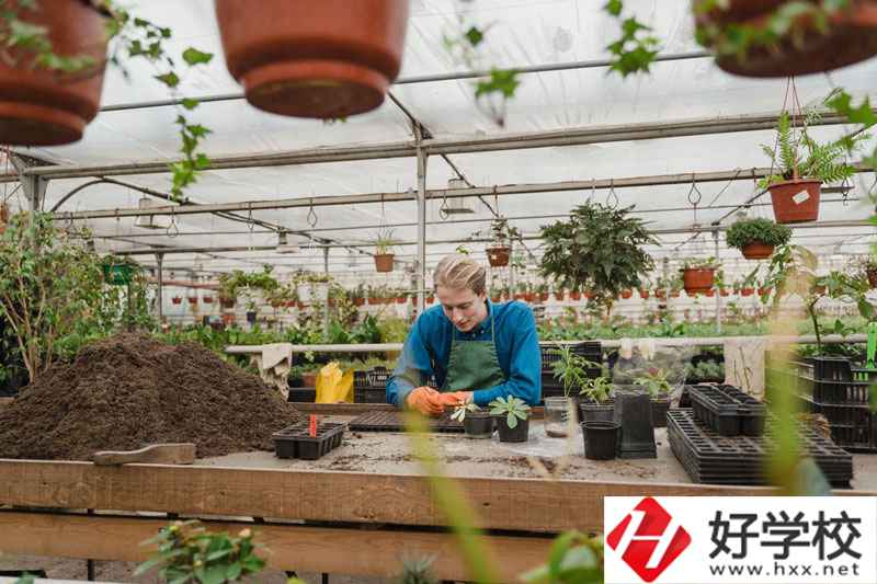 湖南省湘潭縣職校有什么專業(yè)可以選擇？