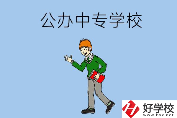 郴州公辦的中專一共有多少所？