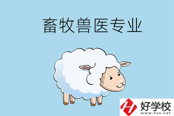 畜牧獸醫(yī)專業(yè)好就業(yè)嗎？湖南哪些技校開設(shè)了該專業(yè)？