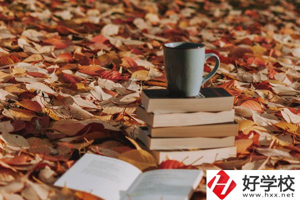 中方縣職業(yè)中等專業(yè)學(xué)校有什么專業(yè)？好不好？