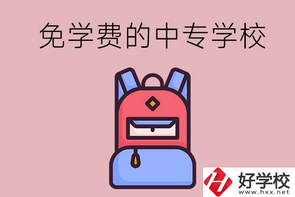 郴州市的中專哪些是免學(xué)費的？
