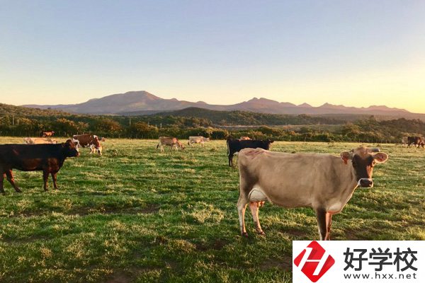 瀘溪縣第一職業(yè)中學的園林技術專業(yè)怎么樣？