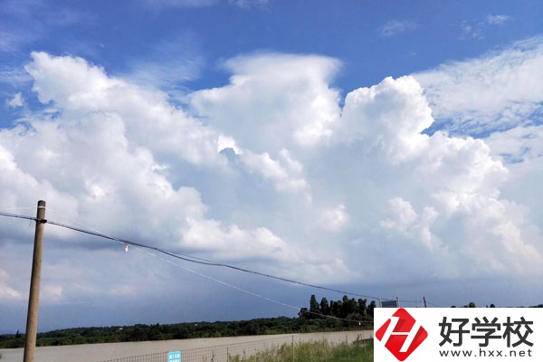 婁底有學(xué)習(xí)音樂(lè)或者舞蹈的中專(zhuān)學(xué)校？