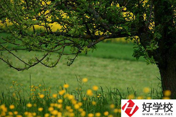 在邵陽讀中職有前途嗎？如何選擇學(xué)校呢？