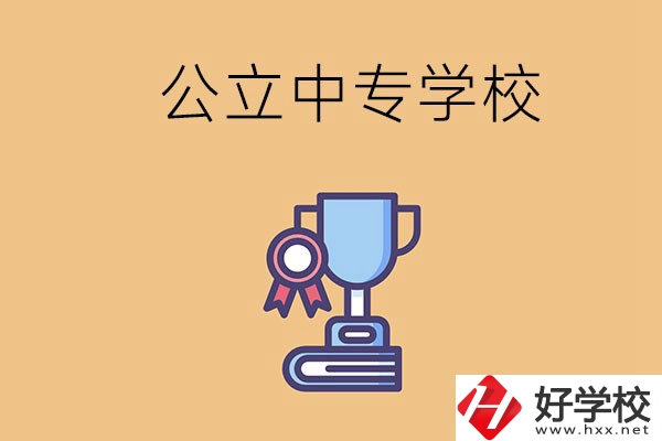 常德的公立中專學(xué)校有哪些？有什么特色？