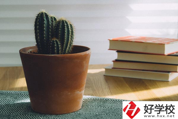 桃江縣職業(yè)中專(zhuān)學(xué)校辦學(xué)條件怎么樣？有哪些特色？