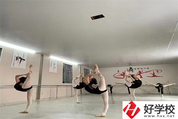 懷化市大鑫藝術(shù)職業(yè)學(xué)校是公辦嗎？學(xué)費(fèi)是多少？