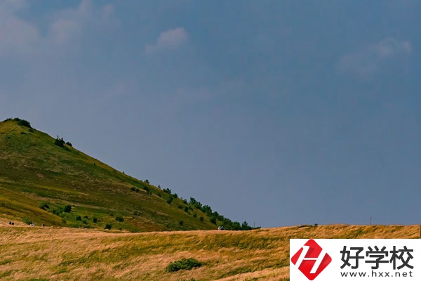 想在常德學(xué)動漫設(shè)計專業(yè)，有合適的學(xué)校嗎？