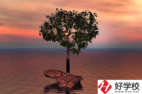 湖南省中南藝術學校收費標準怎么樣？