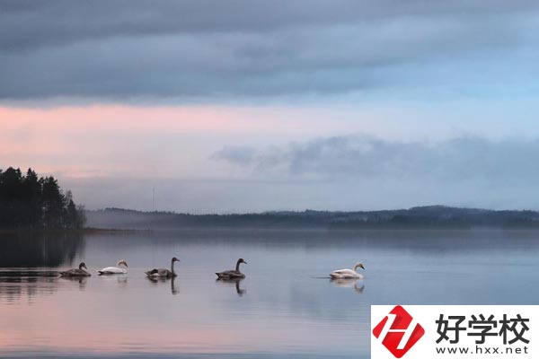 湖南有色金屬中專學(xué)校有哪些專業(yè)？就業(yè)方向如何？